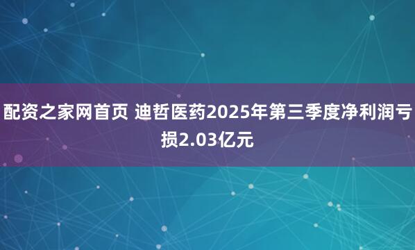 配资之家网首页 迪哲医药2025年第三季度净利润亏损2.03亿元